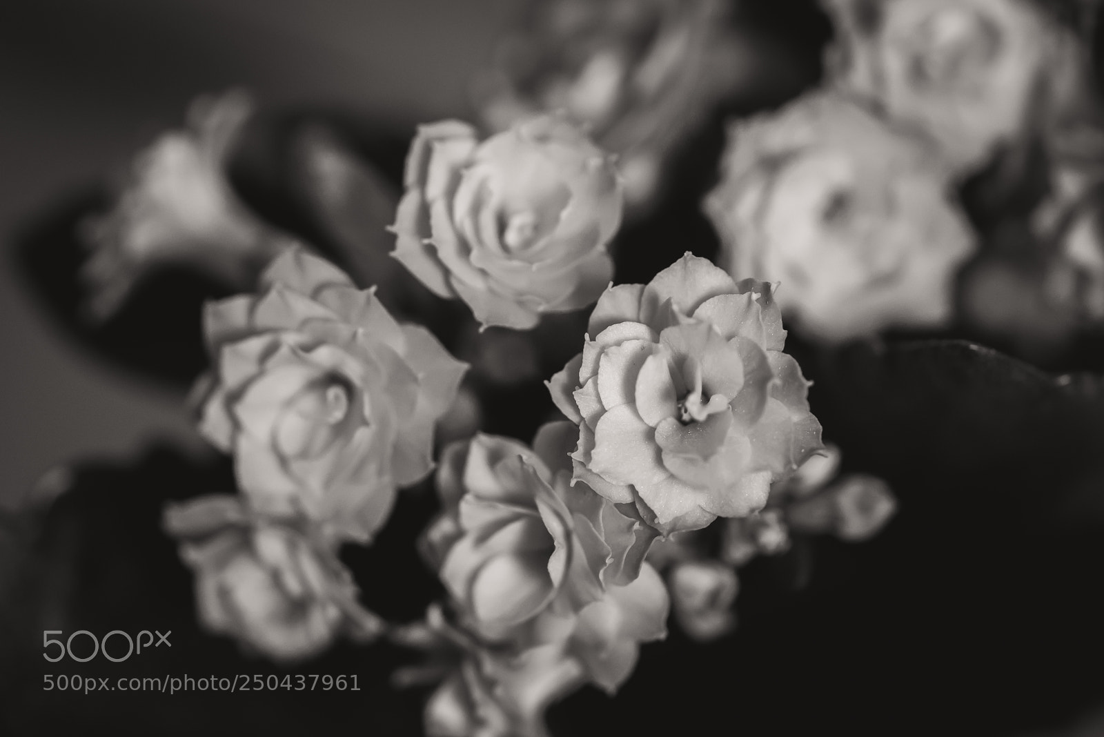 Sony a7S sample photo. Almost calm photography