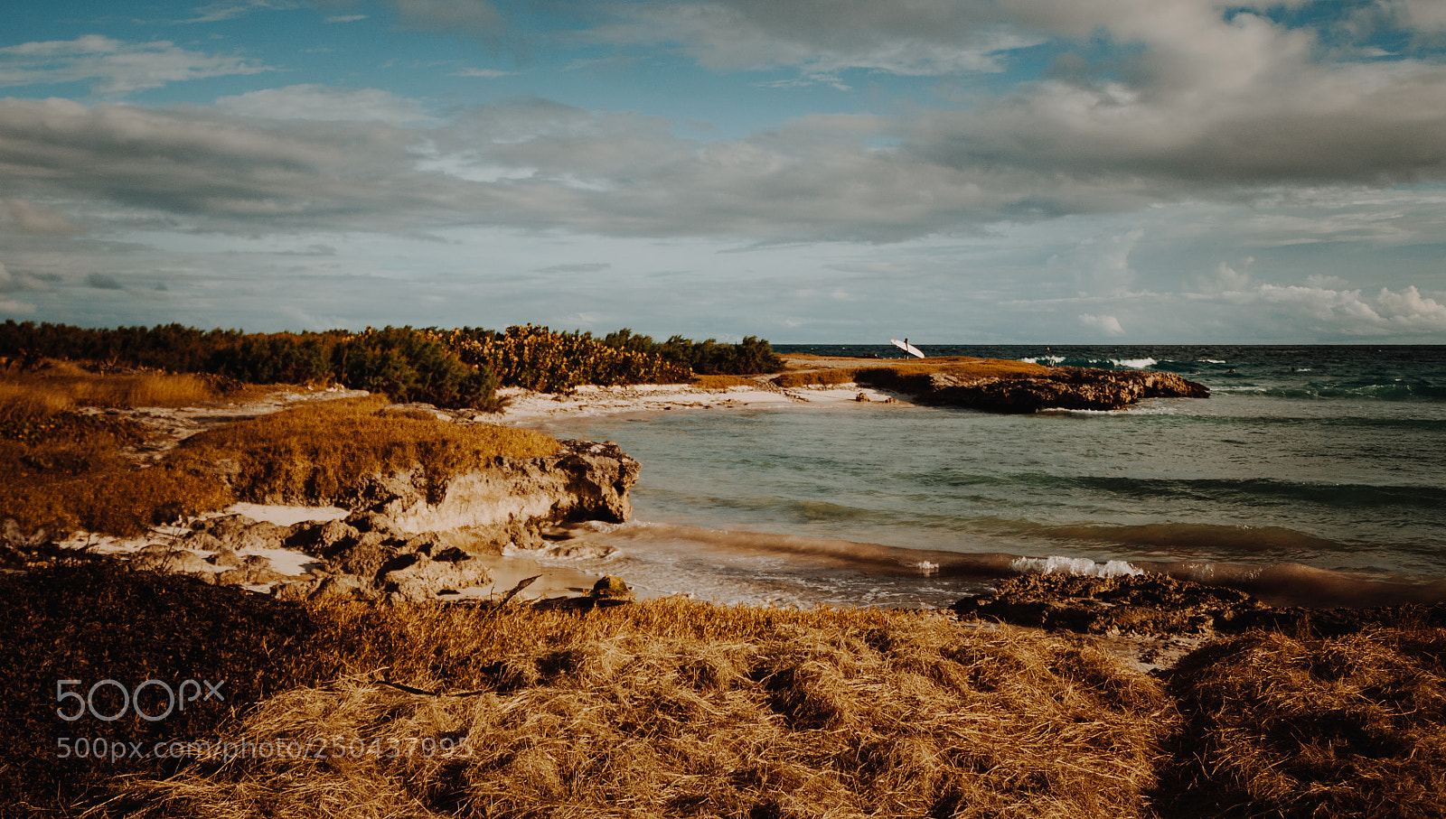 Canon EOS 1100D (EOS Rebel T3 / EOS Kiss X50) sample photo. Somewhere in barbados. photography