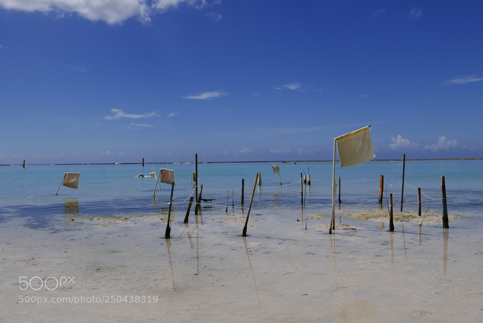 Panasonic Lumix DMC-LX100 sample photo. Boca cjica - republica photography