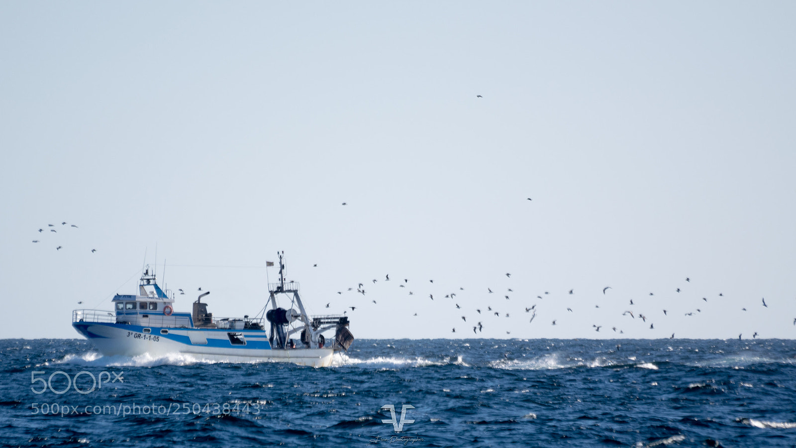 Nikon D5300 sample photo. Finding fish photography