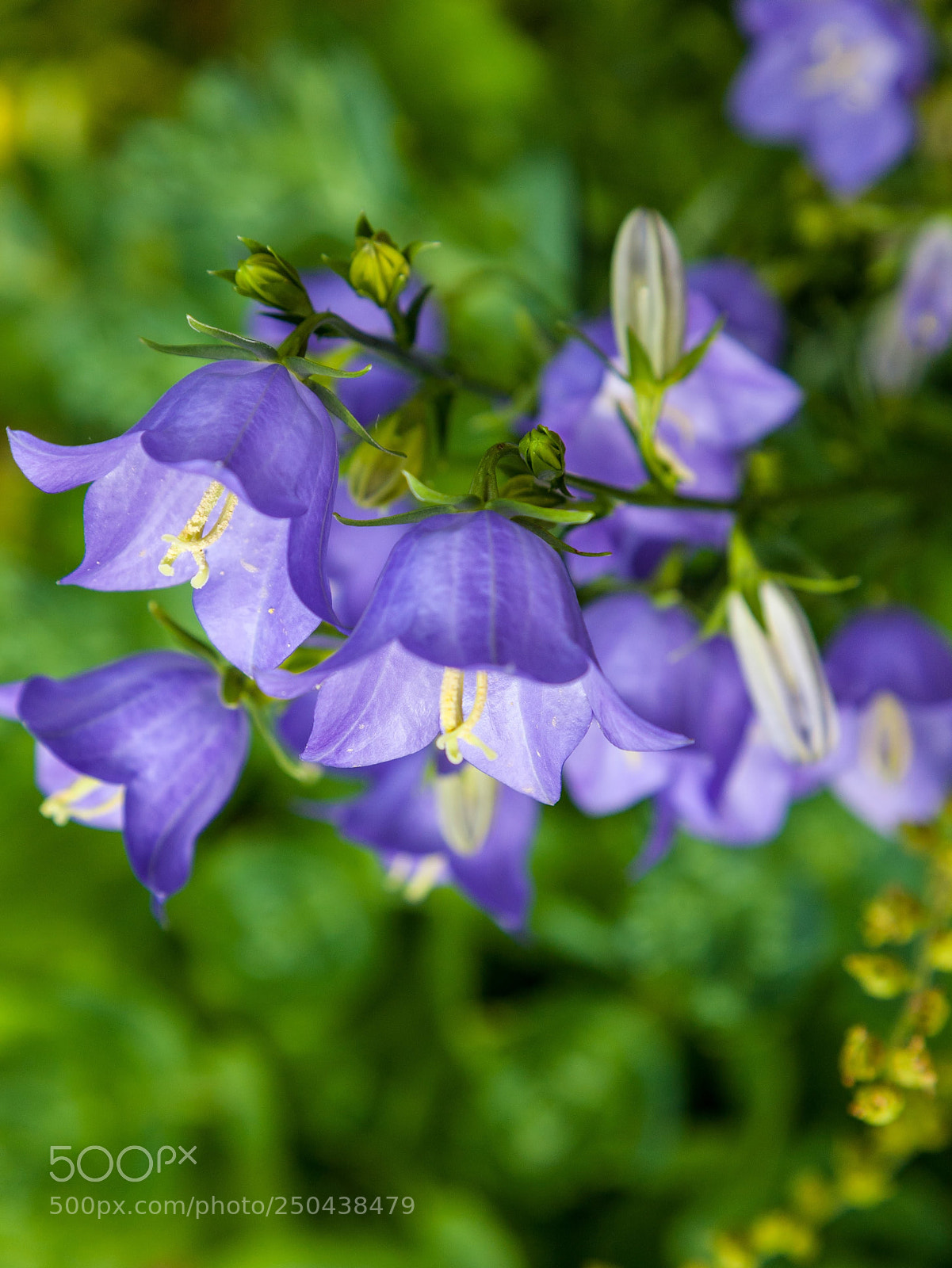 Canon EOS 5D sample photo. Colour photography