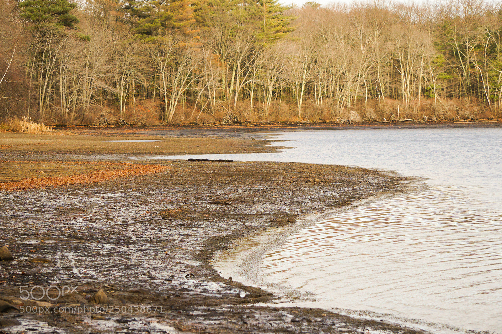 Sony a6000 sample photo. Reservoir shore photography
