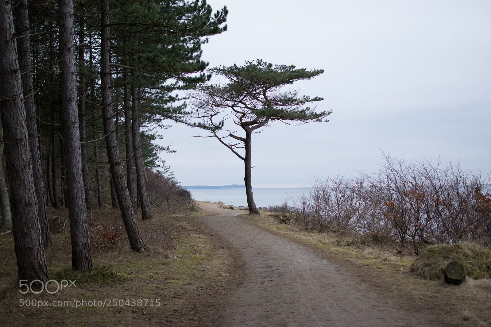 Nikon D3300 sample photo. Going ahead... photography