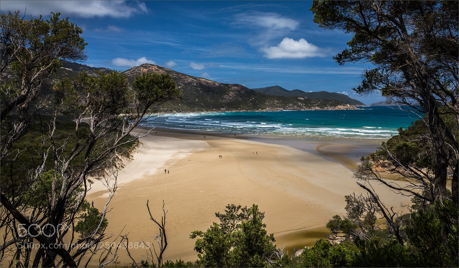 Ricoh GR sample photo. Norman bay at wilson's photography