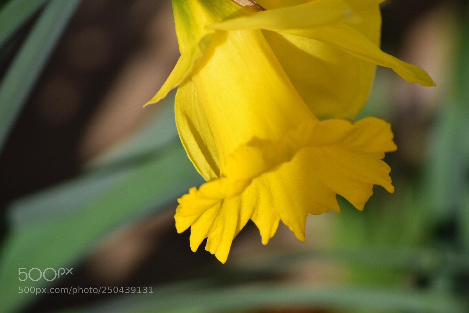 Nikon D5300 sample photo. Untitled photography