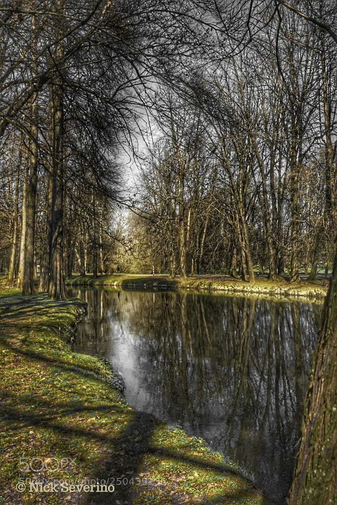 Sony a7R sample photo. Waiting for spring photography
