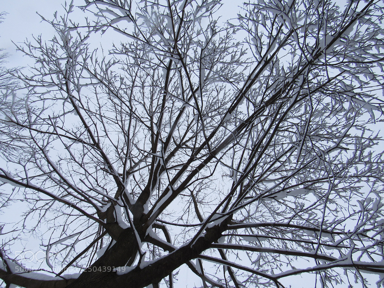 Canon PowerShot SX530 HS sample photo. A chilly shot from photography