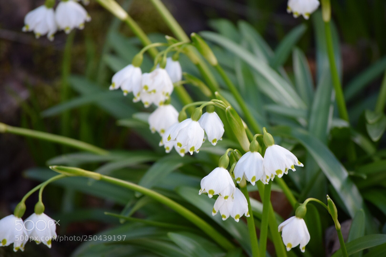 Nikon D5300 sample photo. Untitled photography