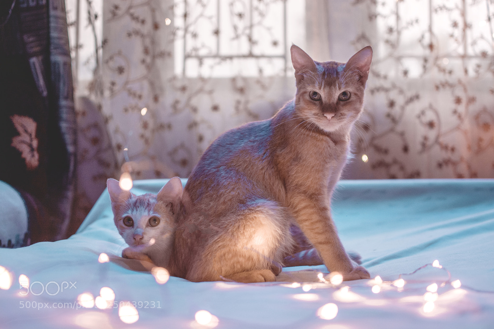 Nikon D5200 sample photo. And they react.. ✨? photography