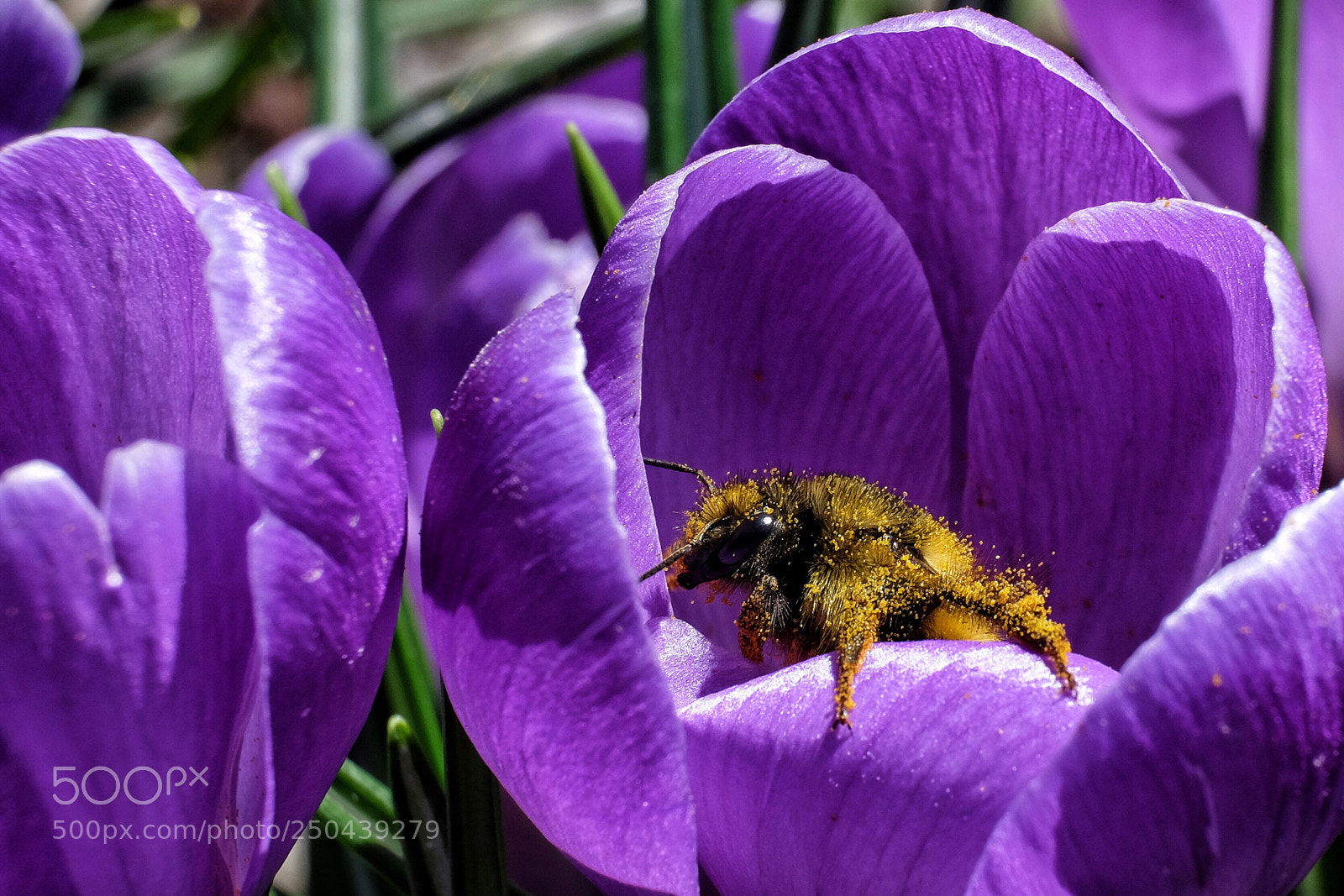 Fujifilm X-T1 sample photo. Taking a break.  photography
