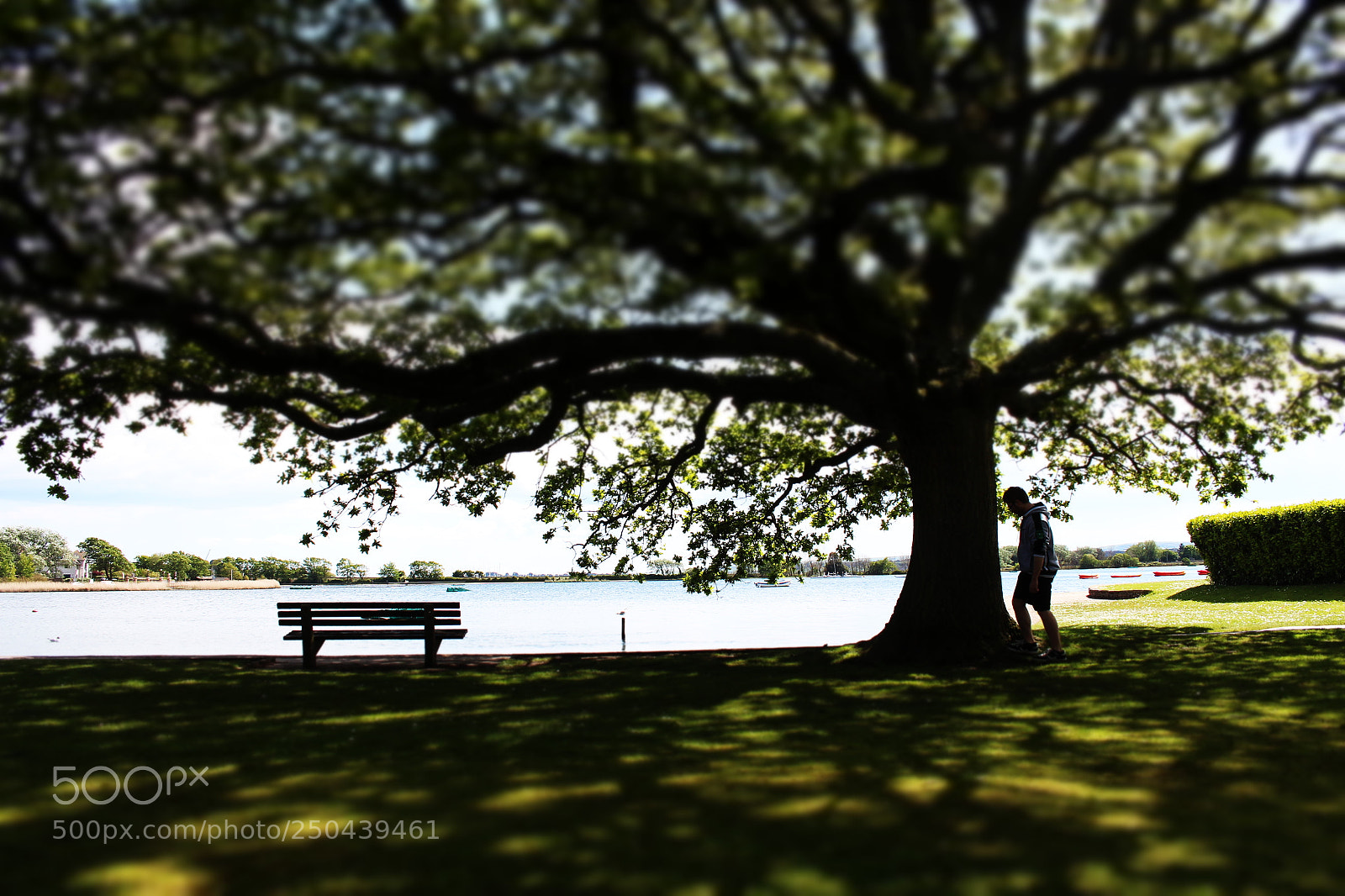 Canon EOS 700D (EOS Rebel T5i / EOS Kiss X7i) sample photo. Poole photography