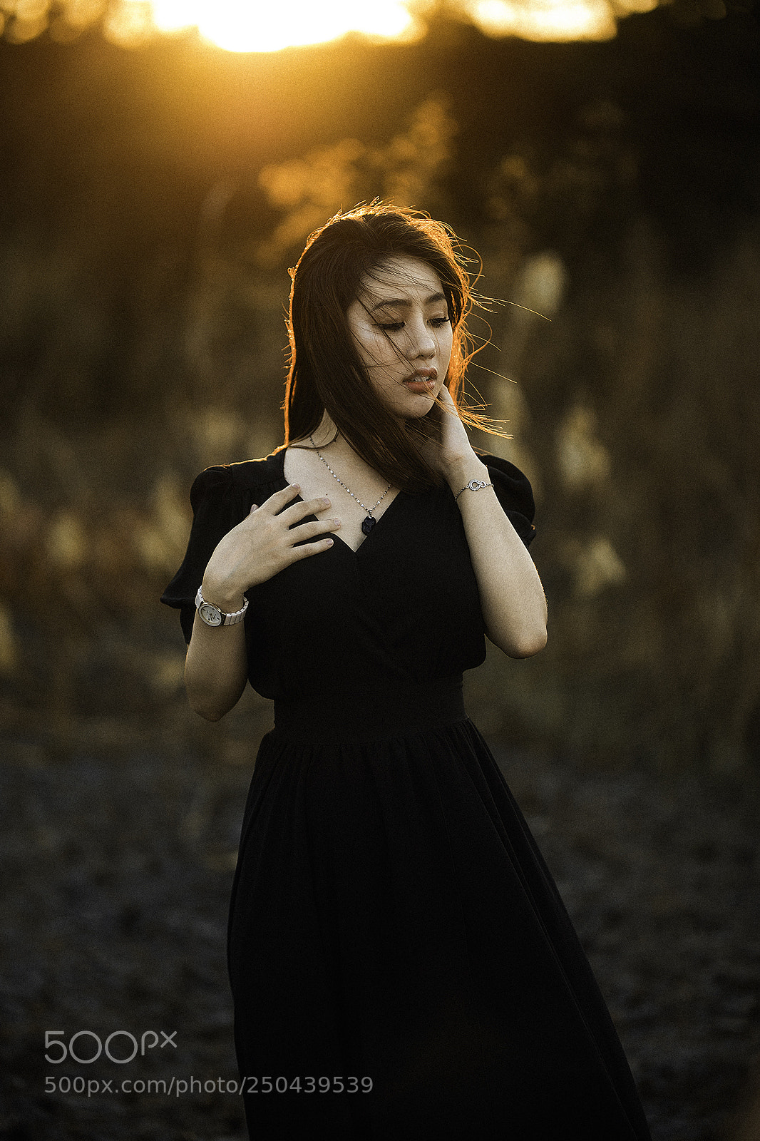 Canon EOS 5D Mark IV sample photo. Edit photography
