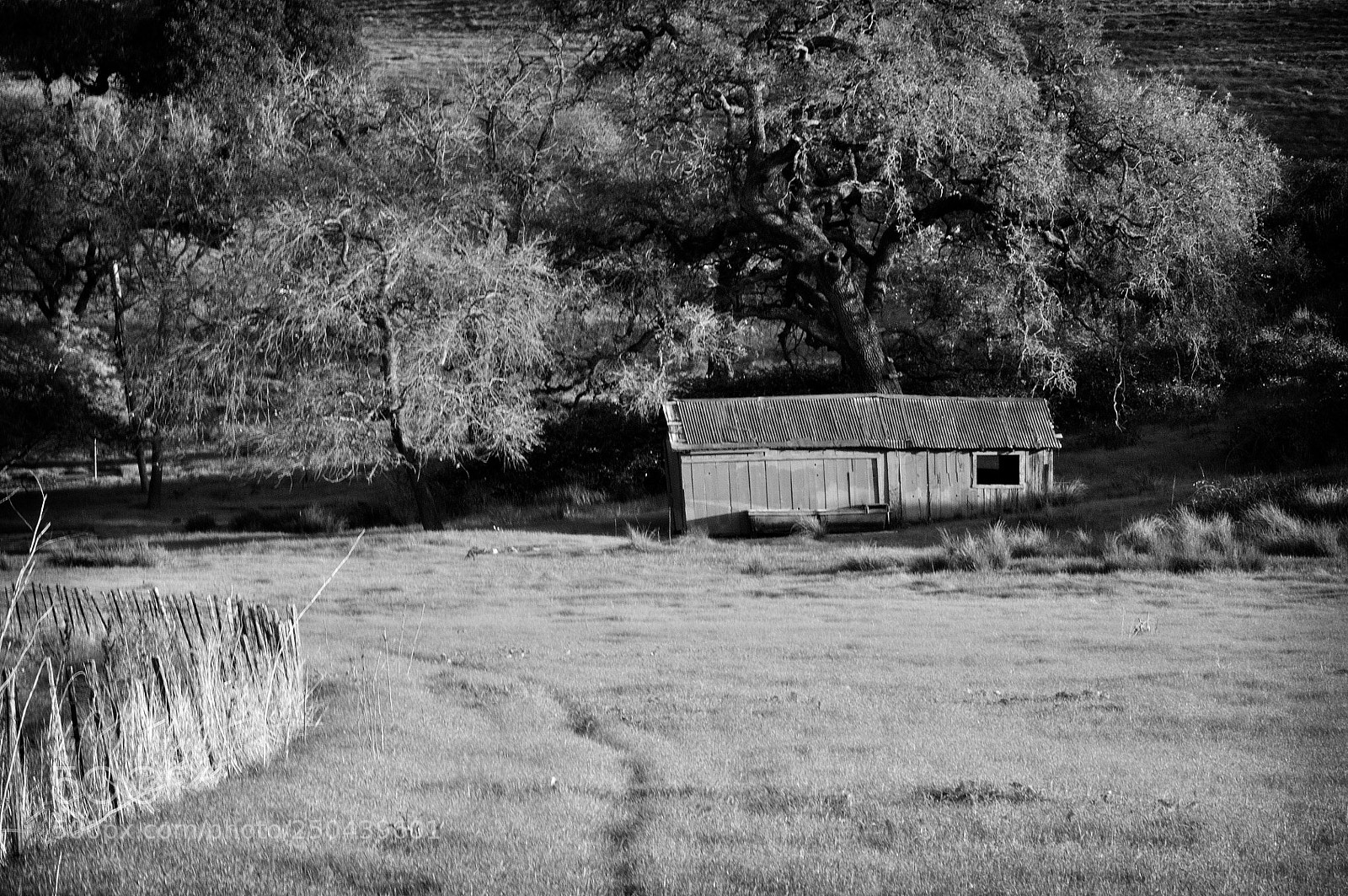 Nikon D90 sample photo. Out of a john photography