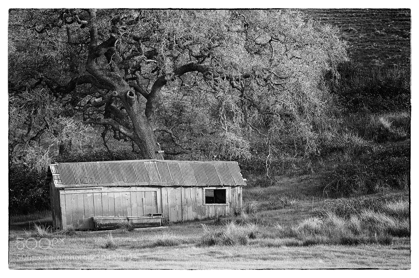 Nikon D90 sample photo. Barn photography