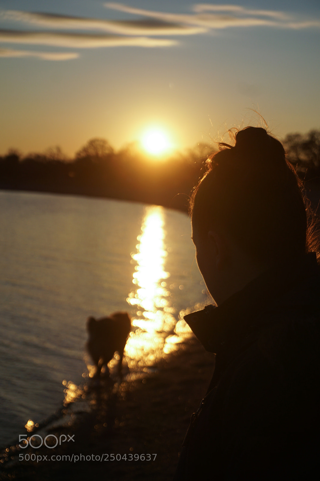 Sony a6000 sample photo. Girl and dog in photography