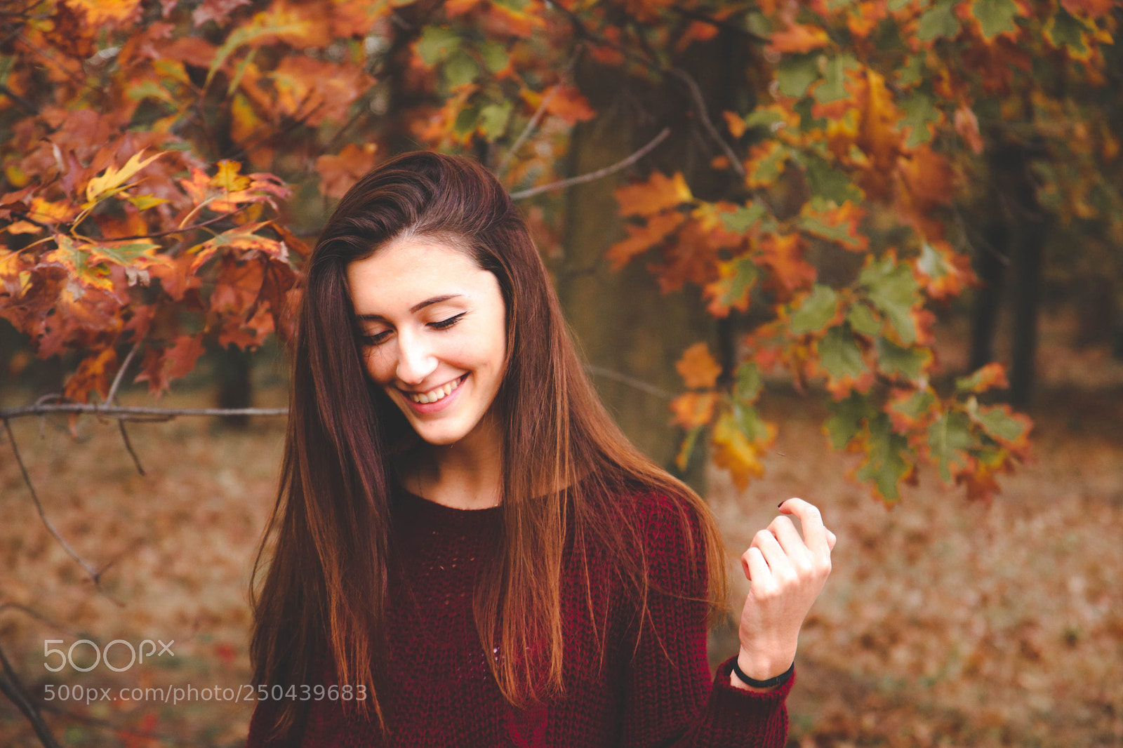 Canon EOS 80D sample photo. Red autumn photography