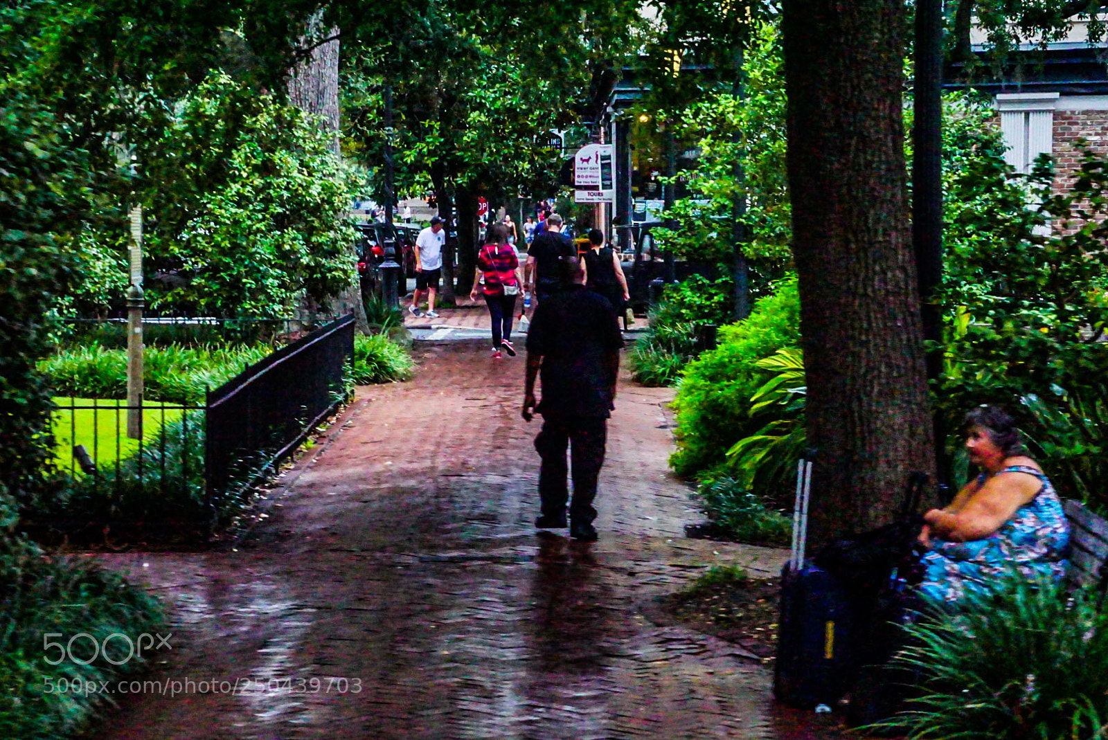 Sony a6000 sample photo. Scene from a walk photography