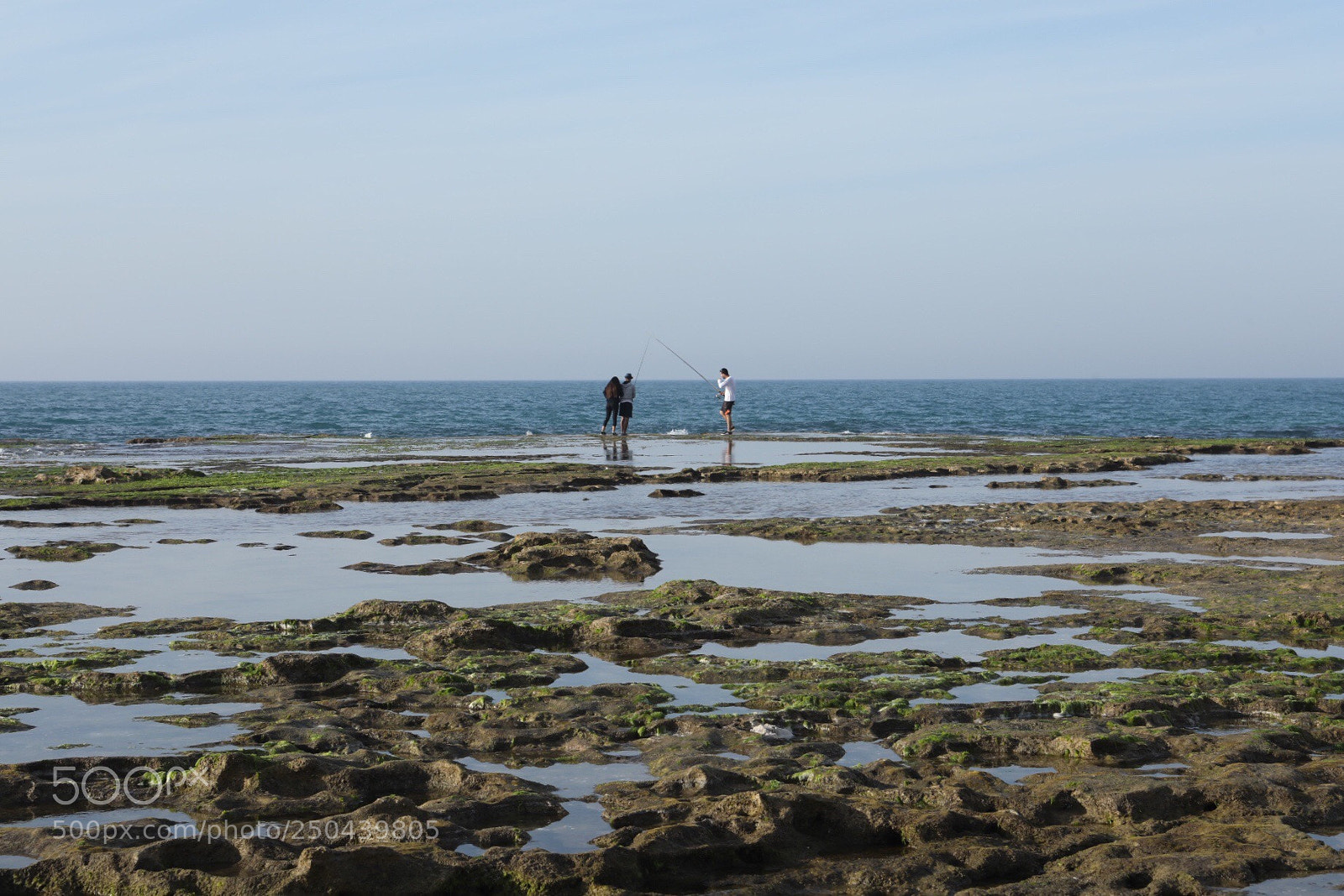 Canon EOS 5D Mark IV sample photo. Untitled photography