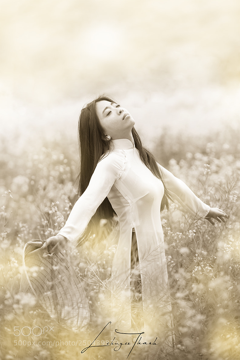 Nikon D800E sample photo. Ao dai photography