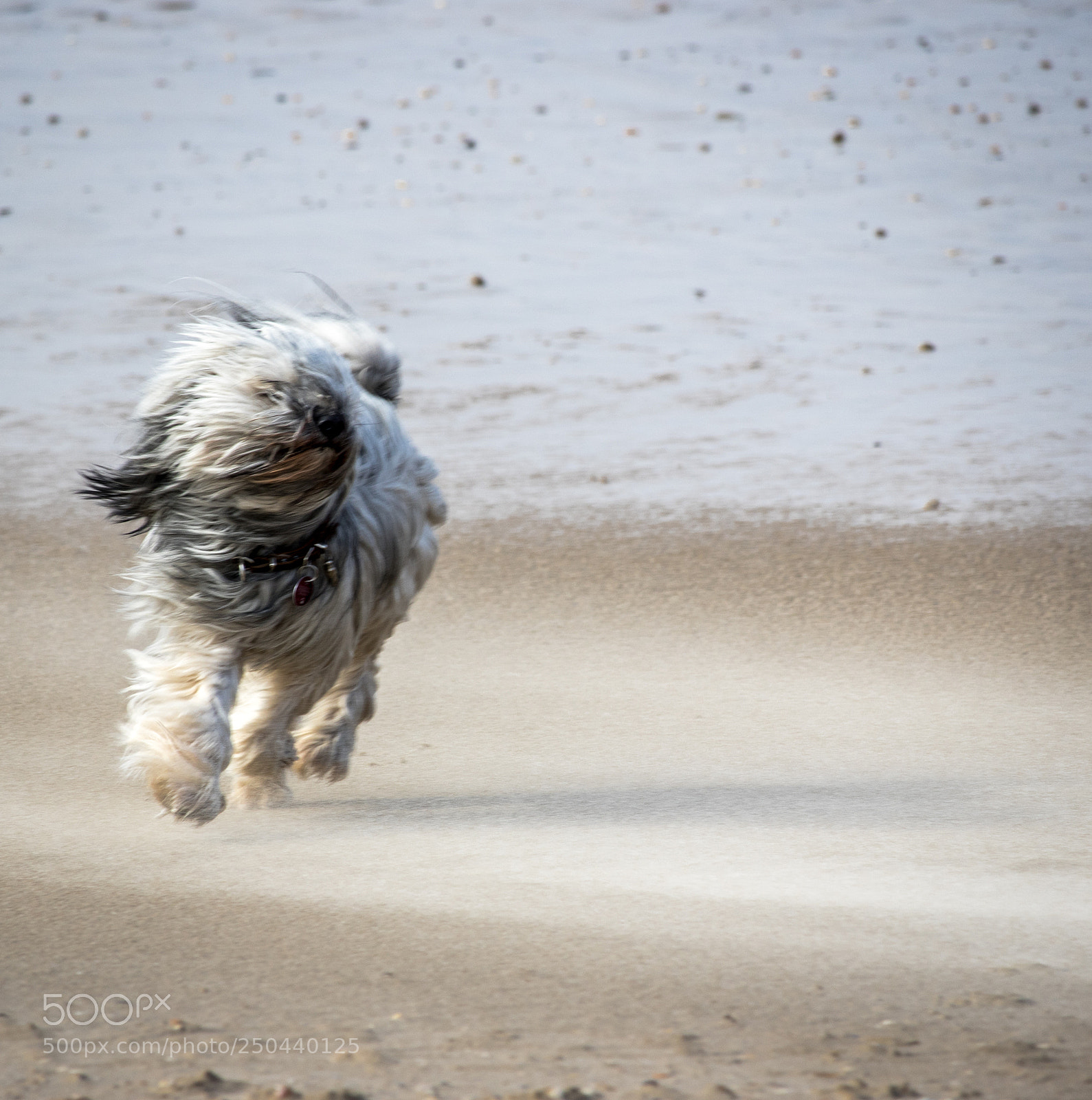Canon EOS 7D Mark II sample photo. Playing on beach photography