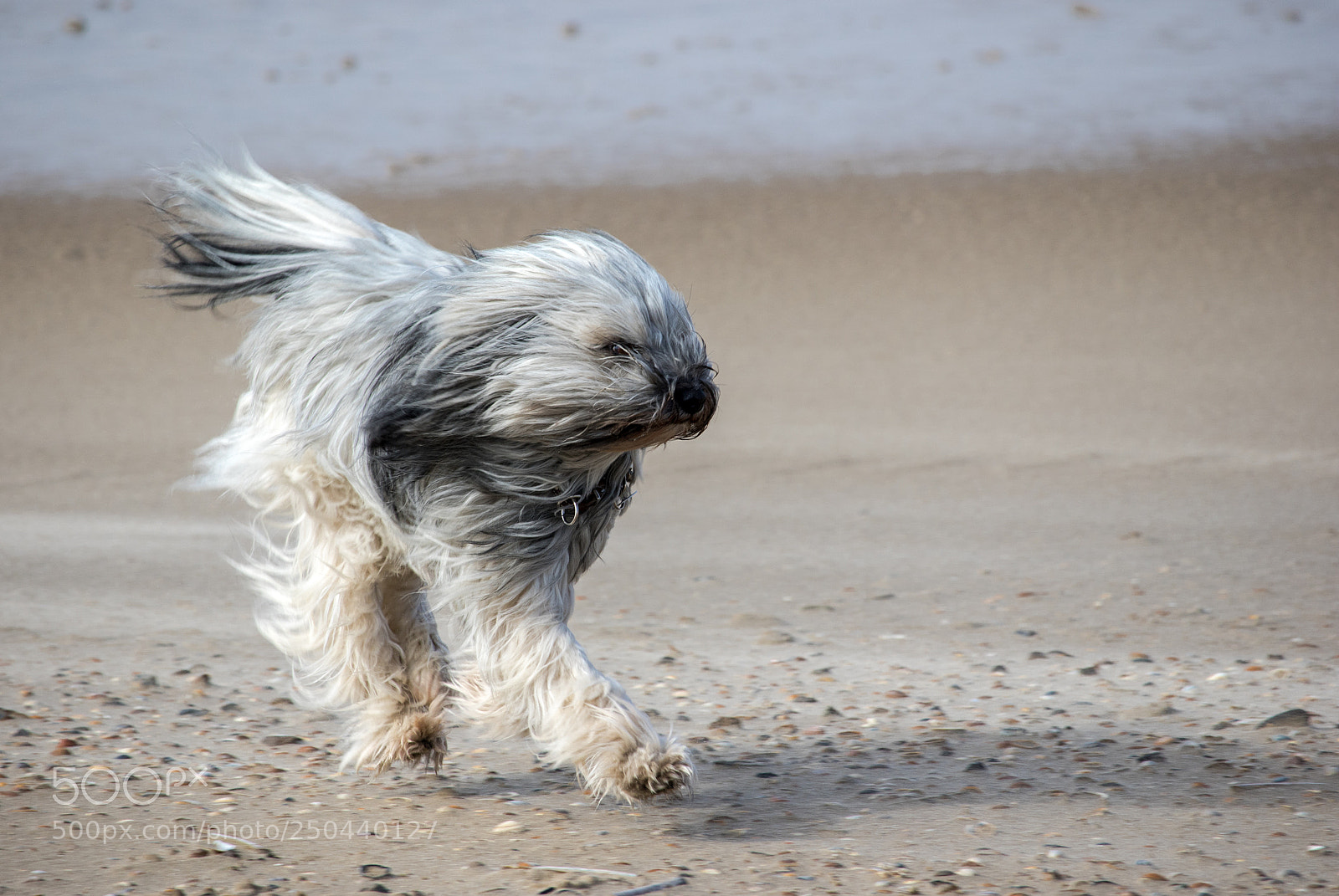 Canon EOS 7D Mark II sample photo. Playing on beach 2 photography