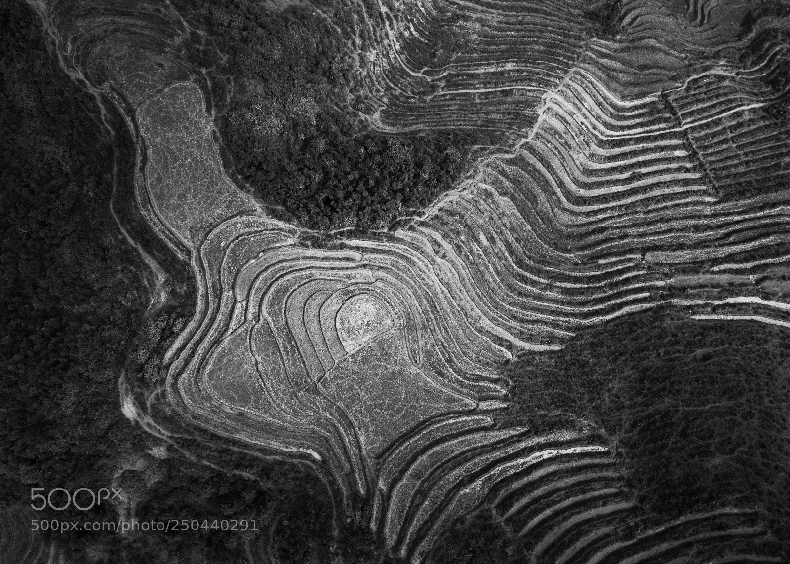 DJI FC220 sample photo. Rice terraces of northern photography