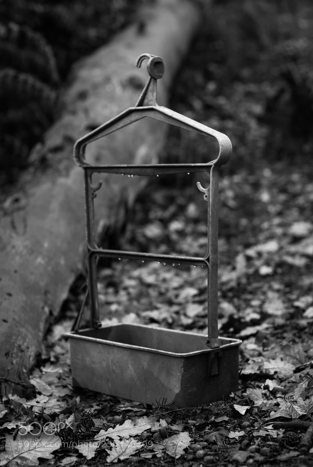 Nikon D80 sample photo. Forest pool photography
