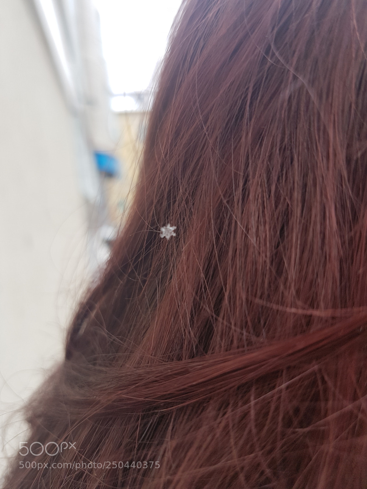 Samsung Galaxy S7 sample photo. Only in the great photography