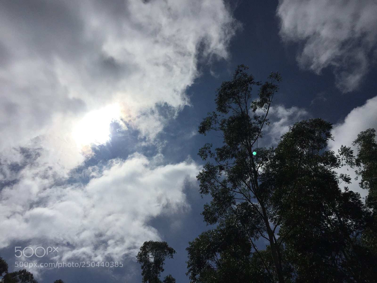 Apple iPhone 6 sample photo. Untitled photography
