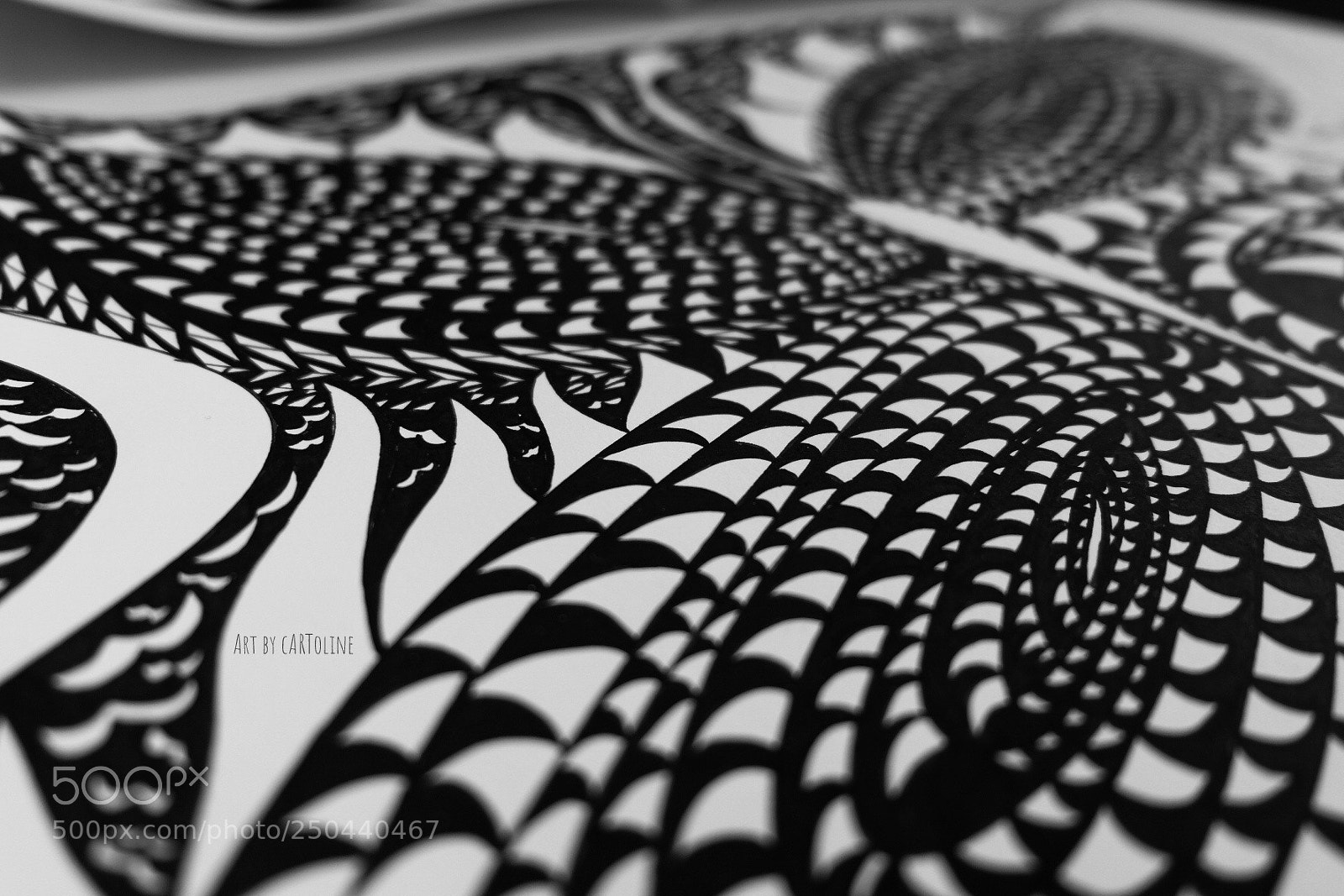 Fujifilm X-T20 sample photo. Butterfly drawing halfway.. photography