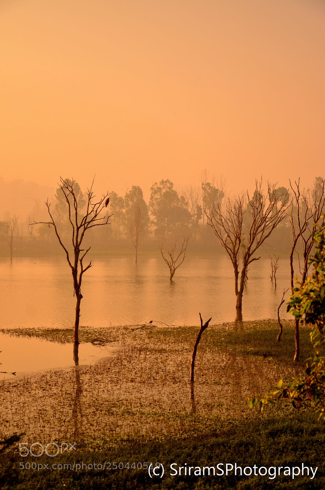 Nikon D7000 sample photo. Serenity at sunrise... photography