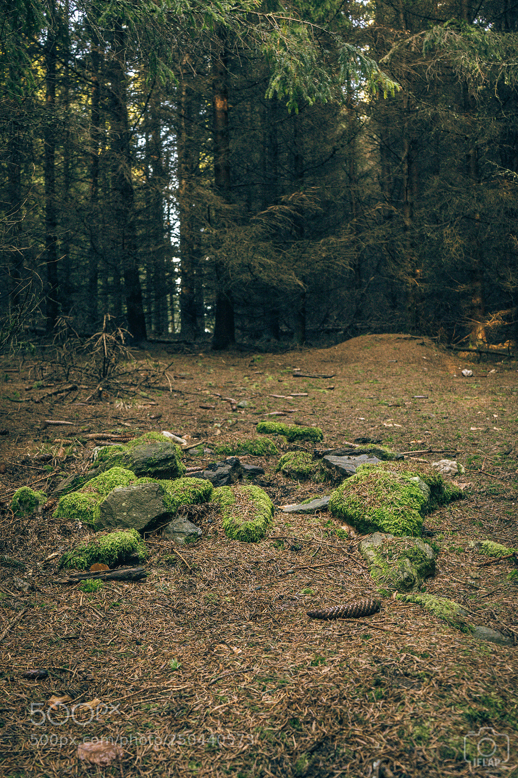 Sony a7 II sample photo. Mossy fireplace in the photography