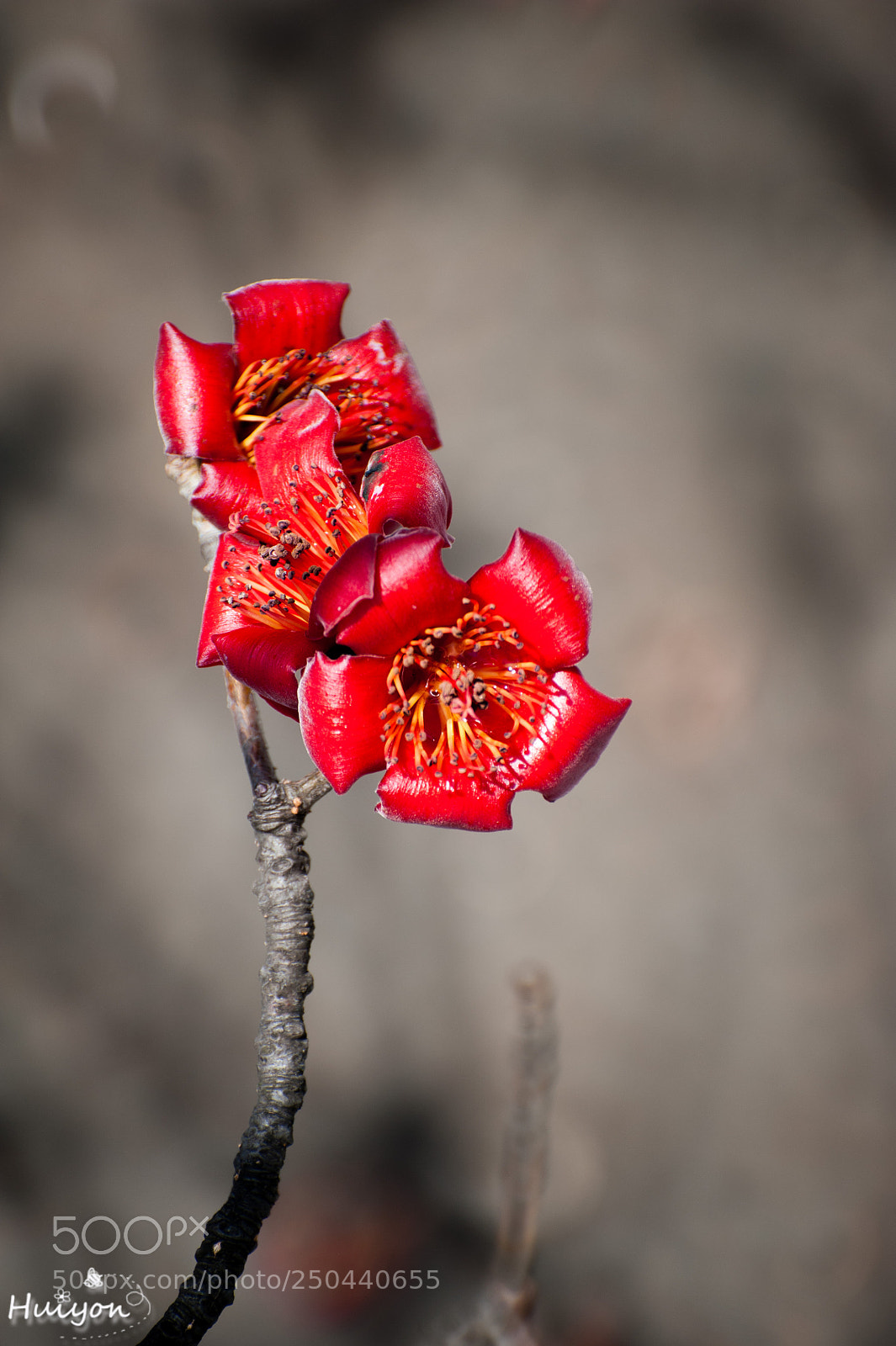 Nikon D700 sample photo. Untitled photography