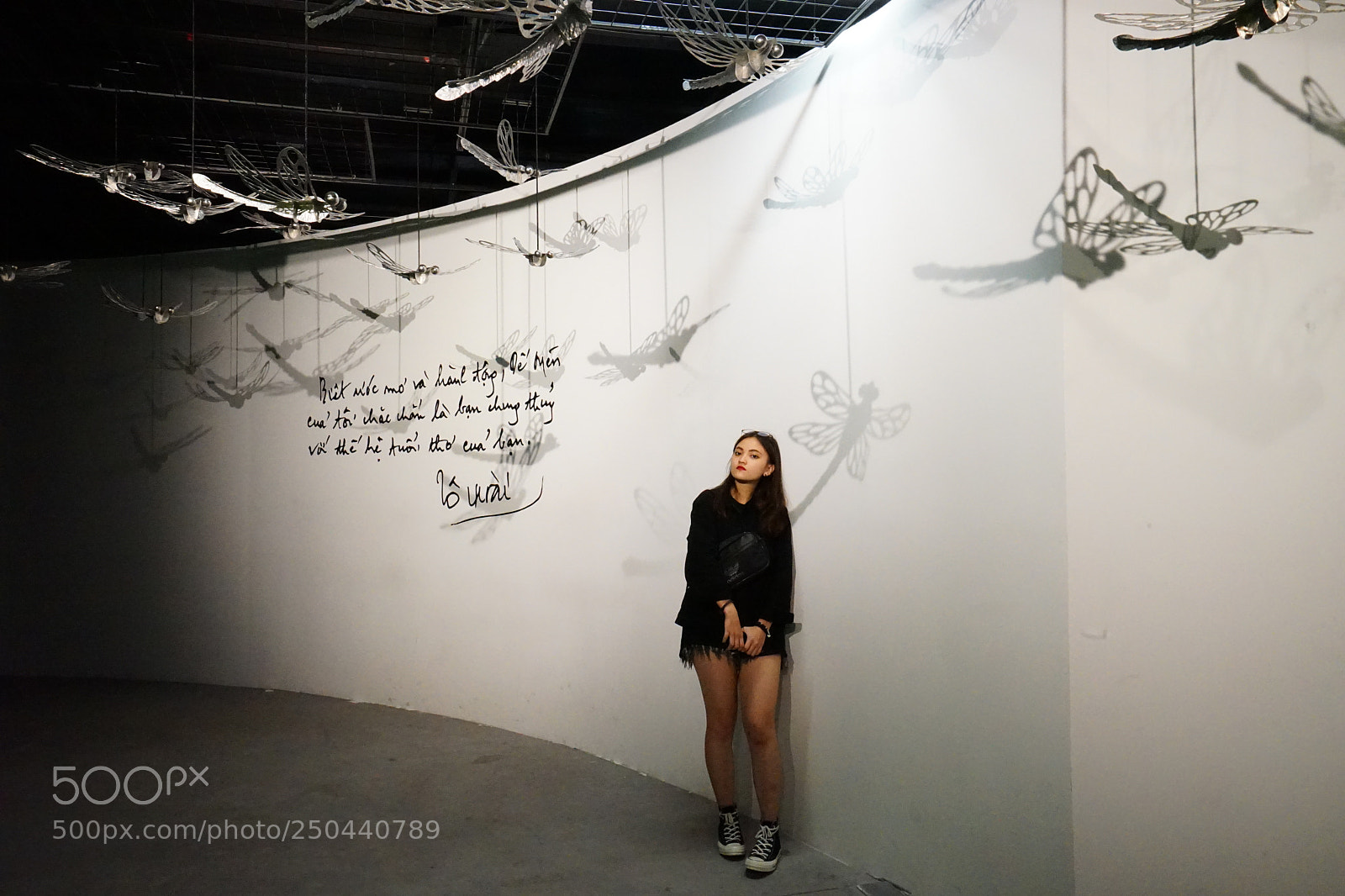 Sony a7 II sample photo. Dsc photography