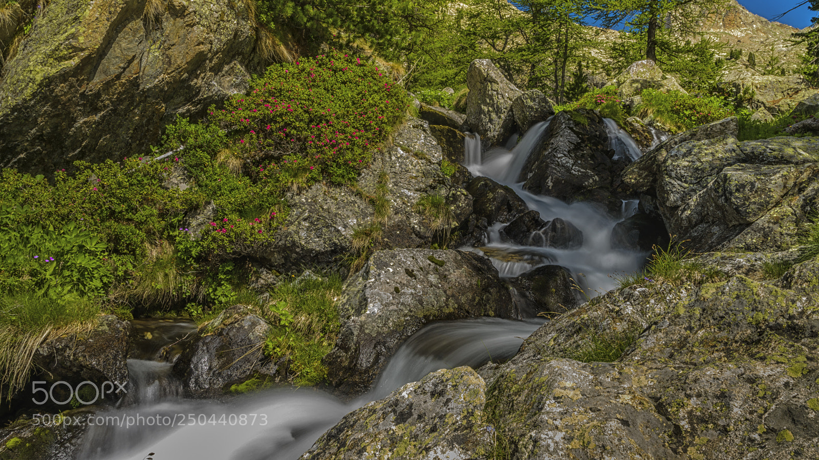 Nikon D5500 sample photo. River in bor on photography