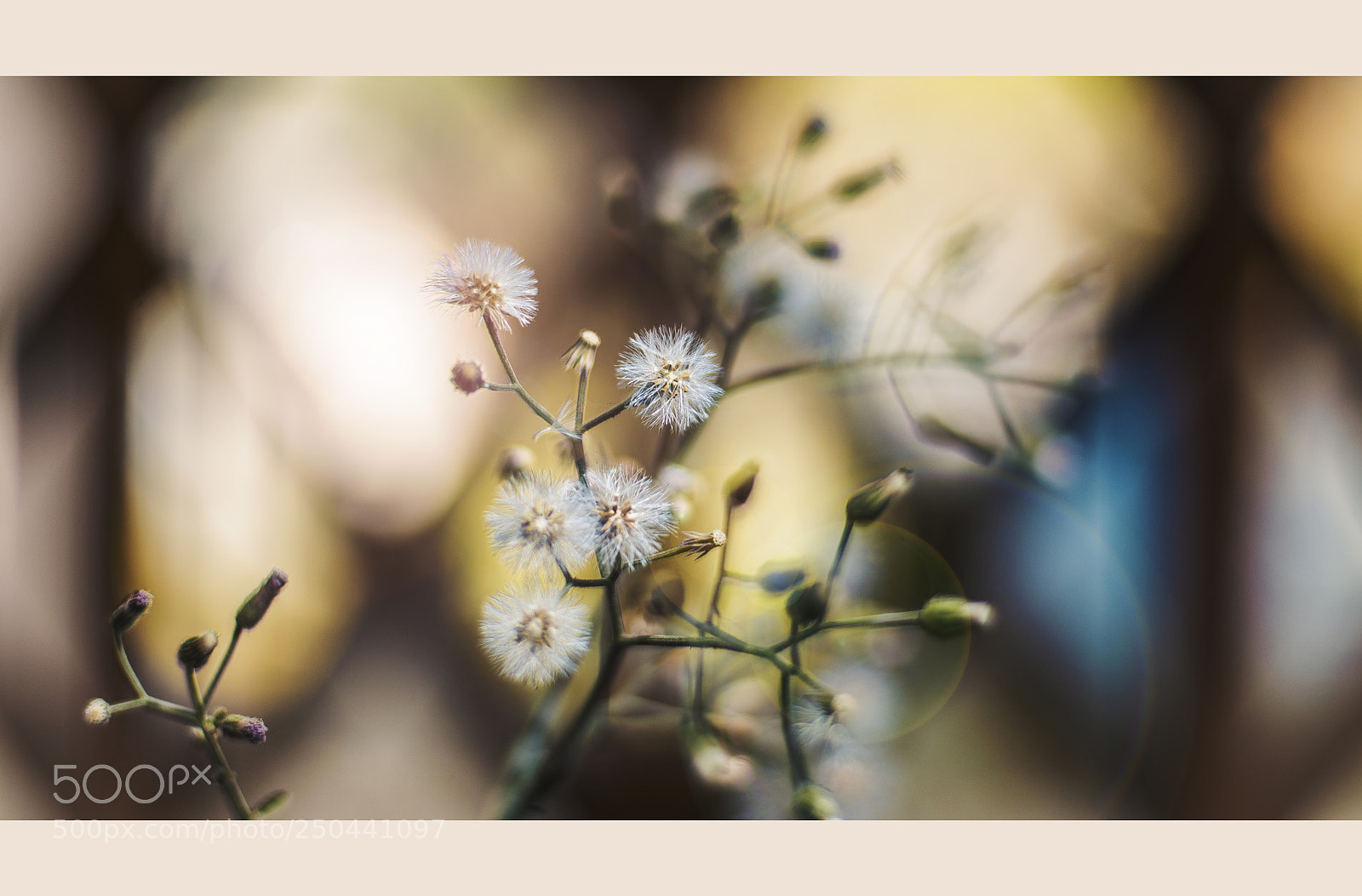 Nikon D7200 sample photo. Untitled photography