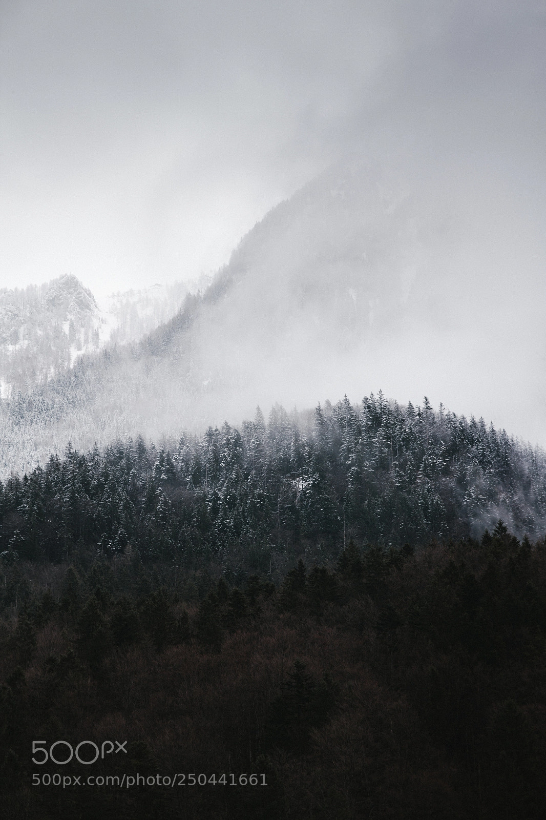 Canon EOS 60D sample photo. Königssee winter photography