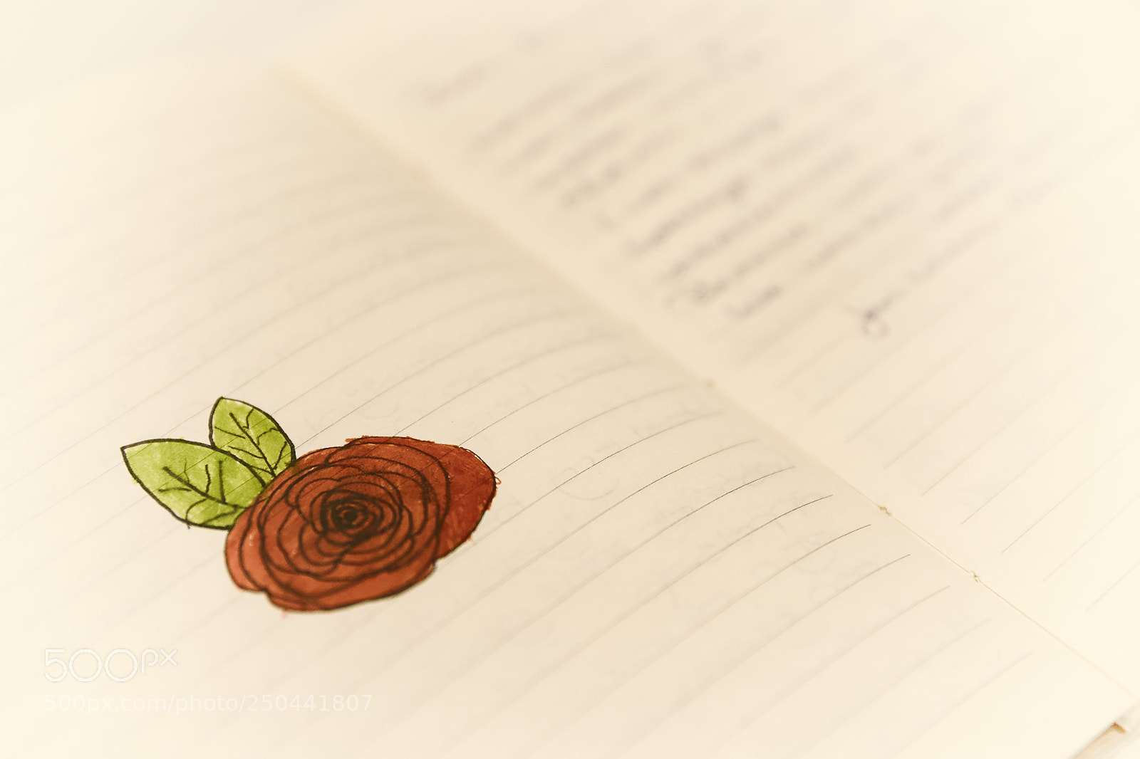 Canon EOS 6D Mark II sample photo. Greetz "rose" photography