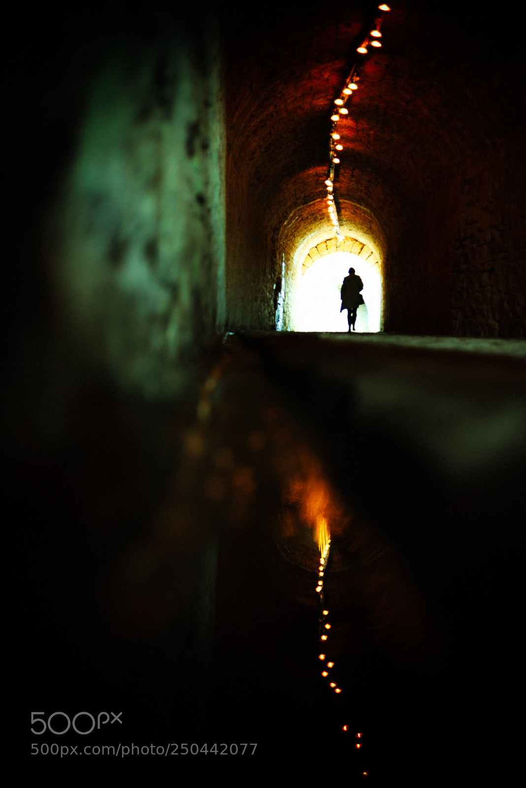 Nikon D610 sample photo. Sans titre (sur ) modifier photography