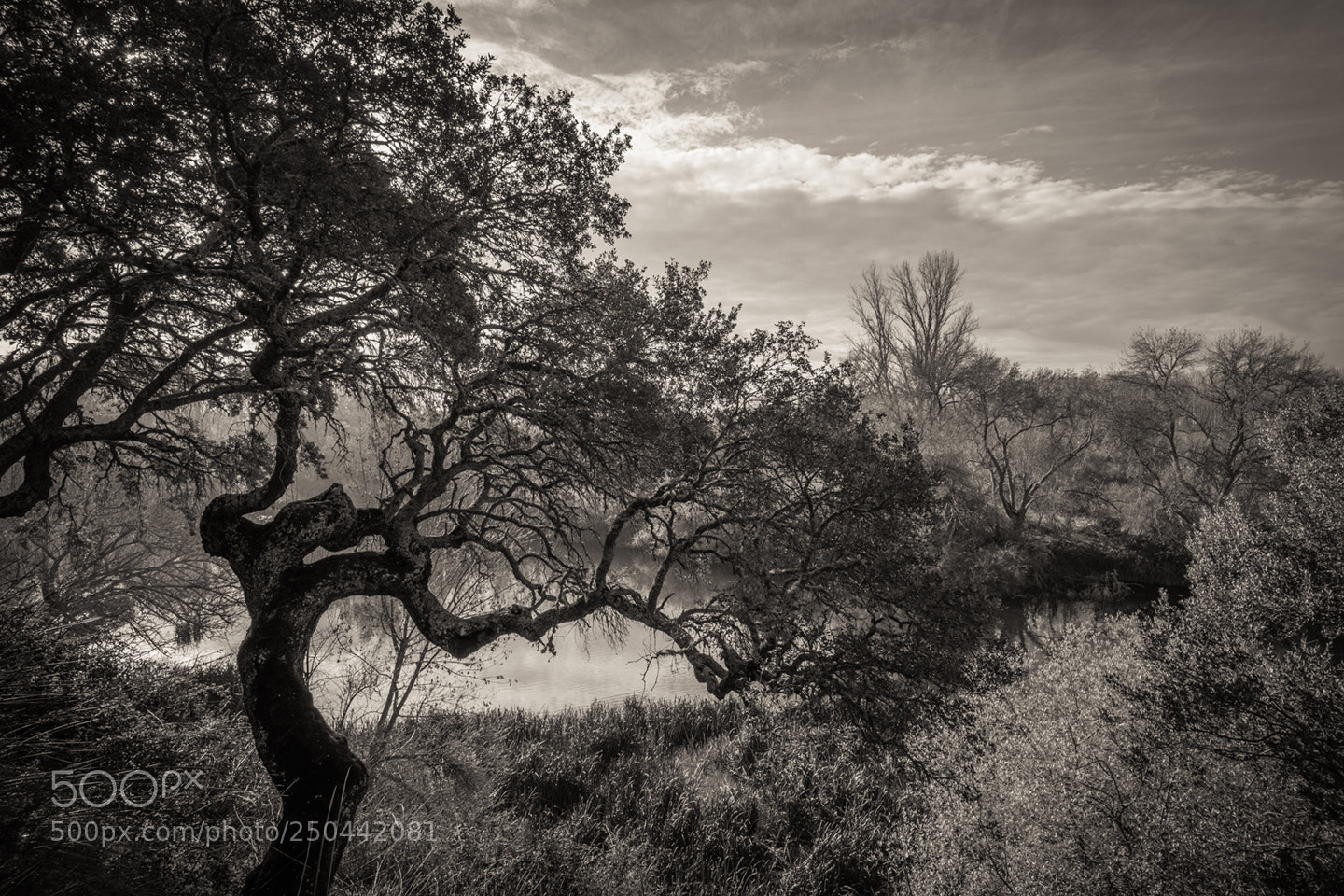 Fujifilm X-Pro2 sample photo. Vientos del tormes photography