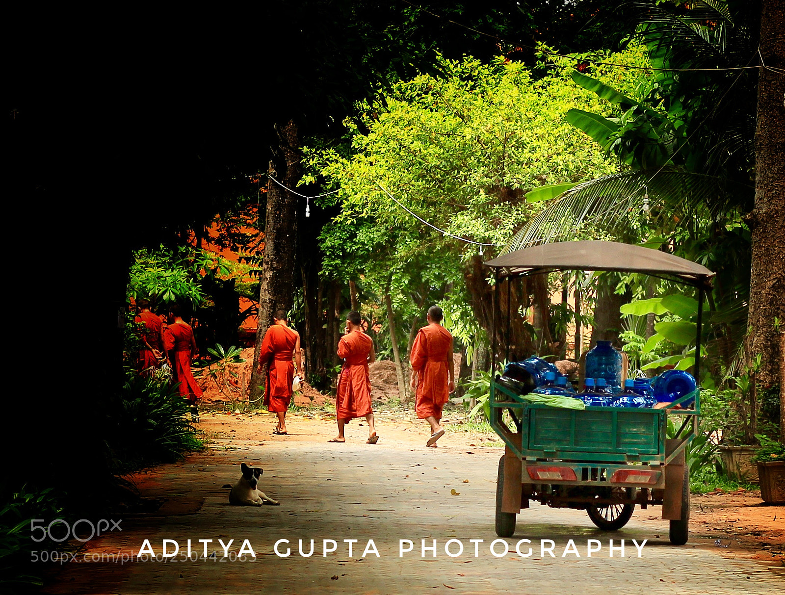 Canon EOS 600D (Rebel EOS T3i / EOS Kiss X5) sample photo. The monks who sold photography