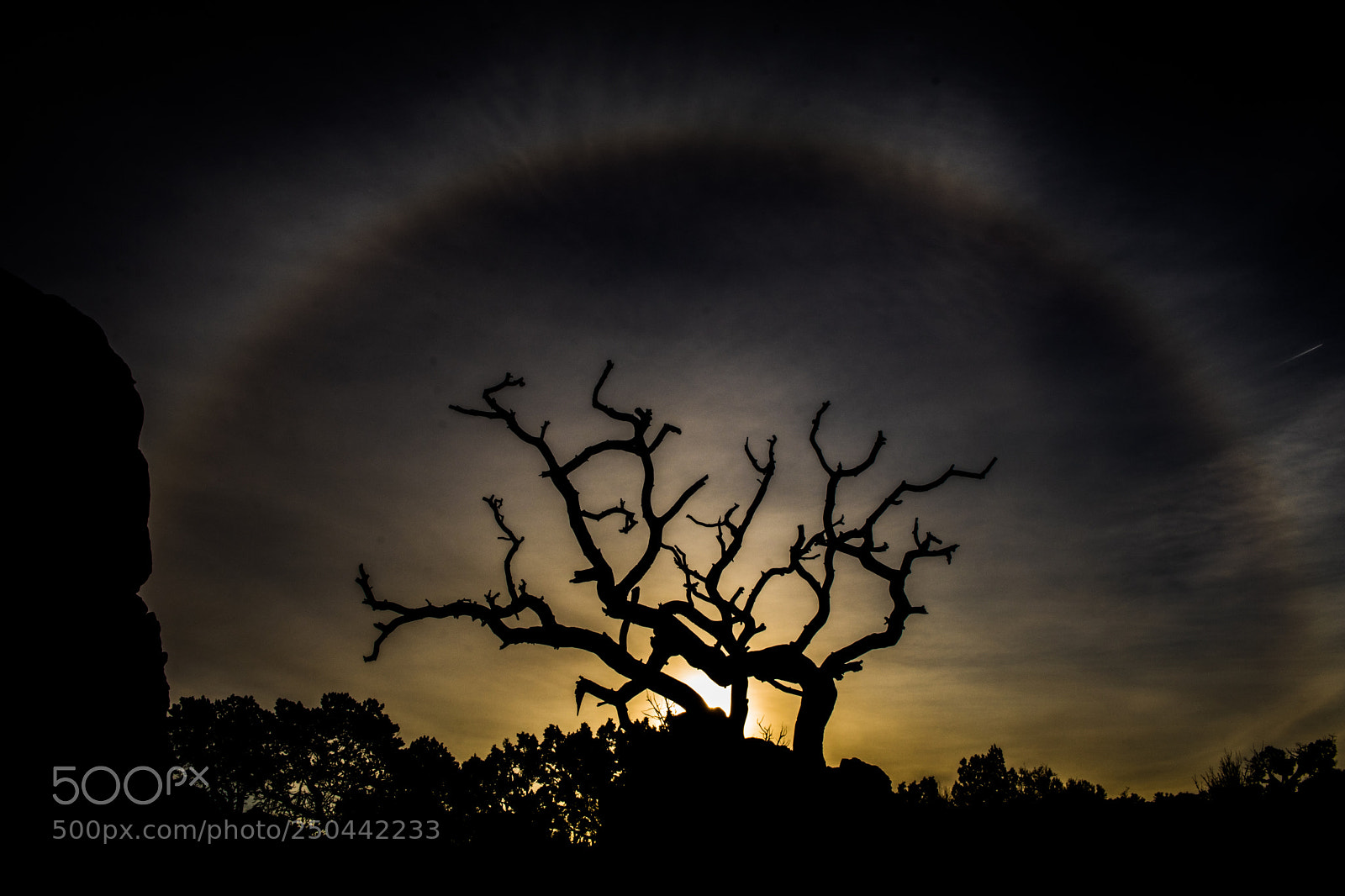 Canon EOS 80D sample photo. Sun ring photography