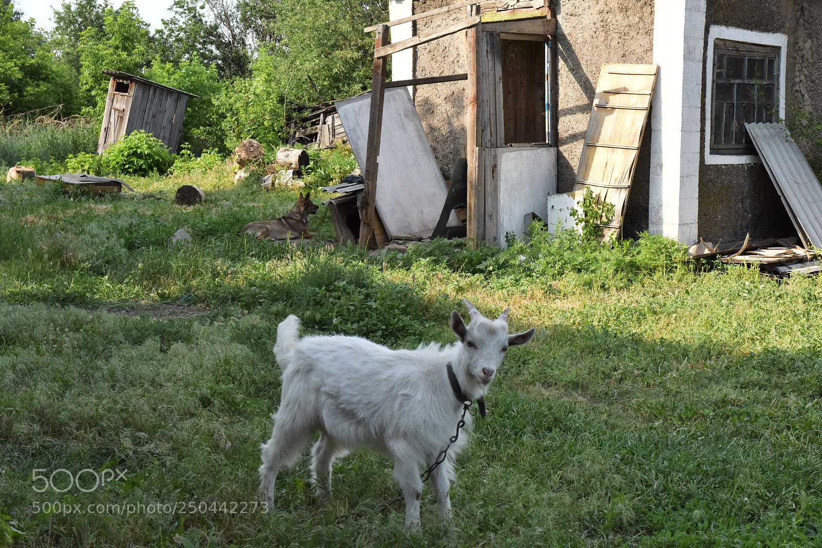 Nikon D810 sample photo. Street photography