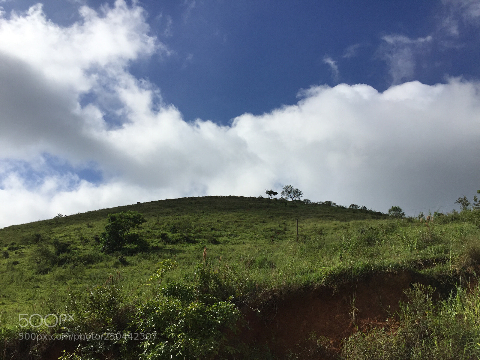 Apple iPhone 6 sample photo. Untitled photography
