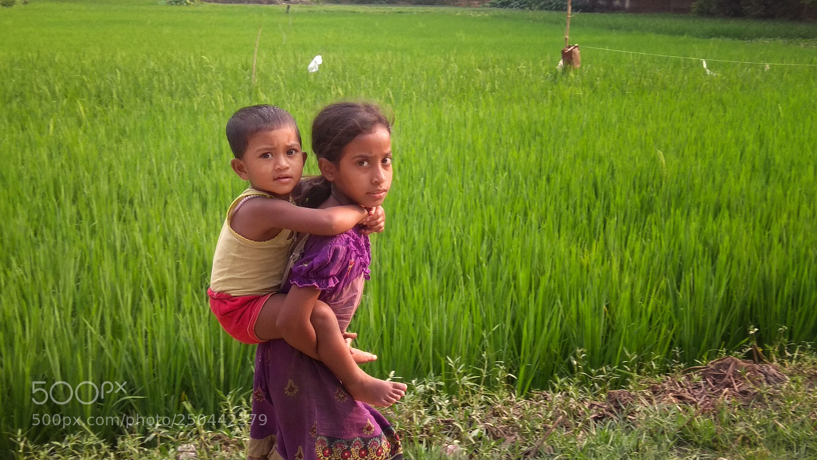 Xiaomi Redmi Note 4 sample photo. Country kids photography