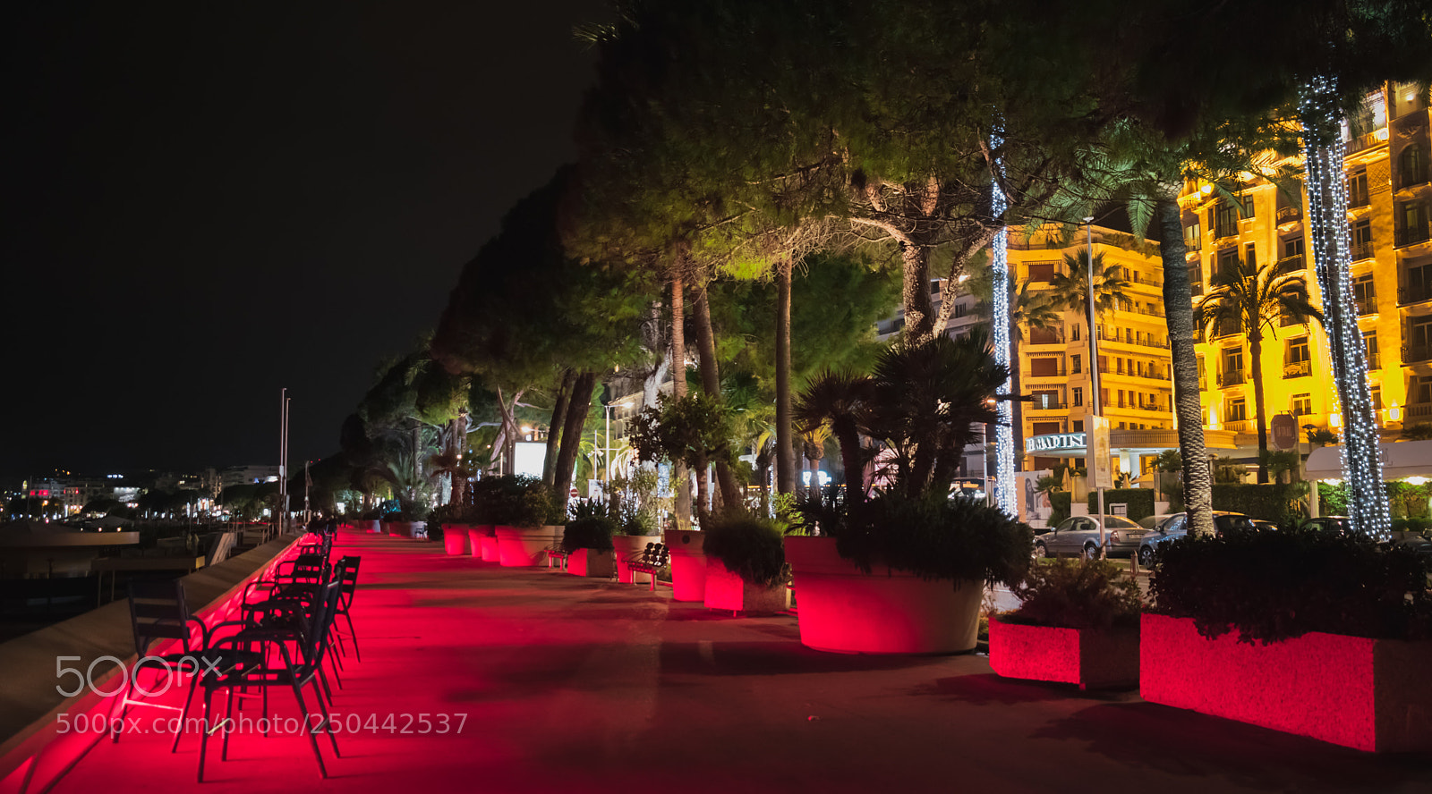 Nikon D5300 sample photo. Cannes night photography