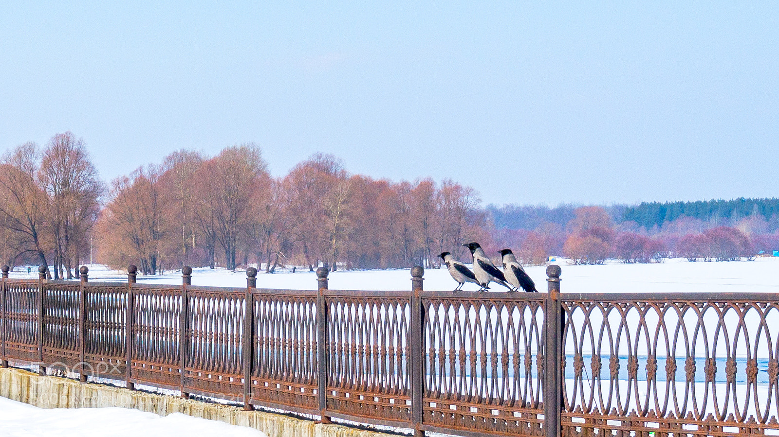 Sony Alpha a5000 (ILCE 5000) sample photo. Trio photography