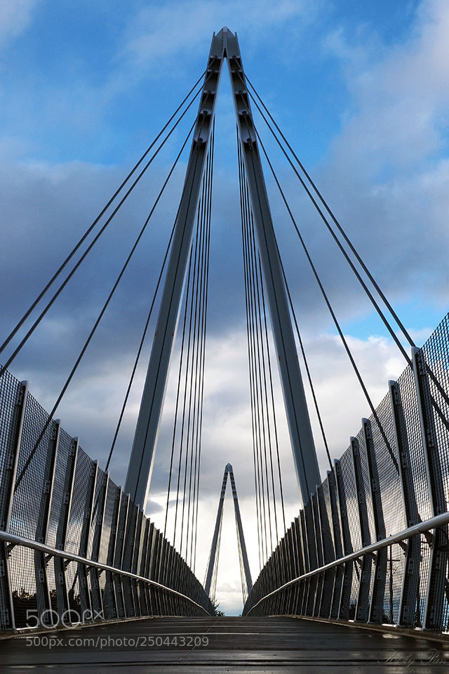 Olympus OM-D E-M1 Mark II sample photo. The bridge photography