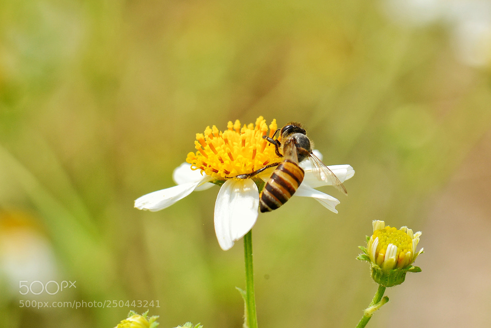 Nikon D600 sample photo. Untitled photography
