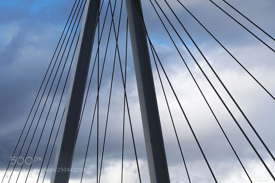 Olympus OM-D E-M1 Mark II sample photo. The cables photography